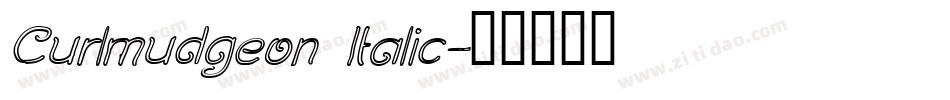 Curlmudgeon Italic字体转换